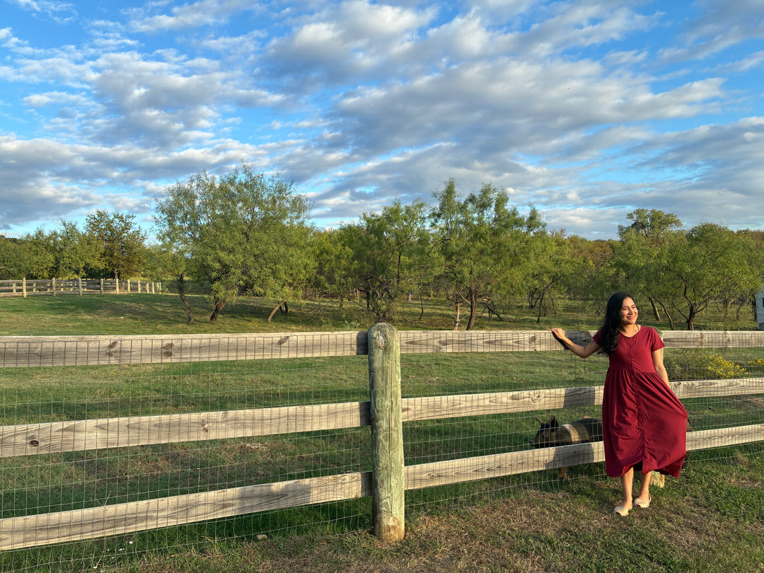 The Everyday Dress